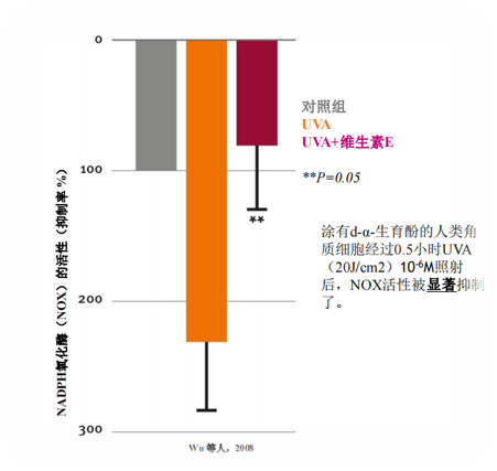 private label BAIOUMEI Rejuvenating Eye Cream