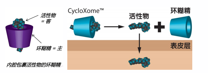 BAIOUMEI Rejuvenating Eye Cream OEM