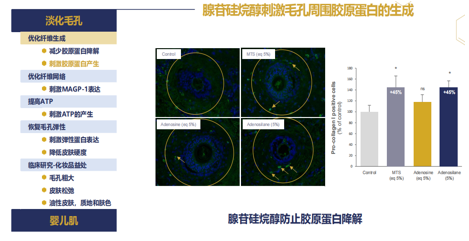 HENGYANG SOFT YING ESSENCE MILK wholesale