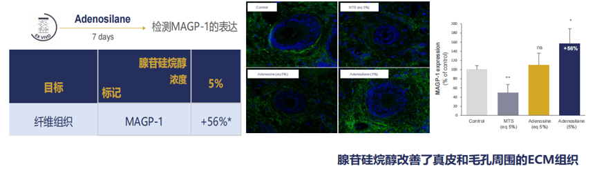 HENGYANG SOFT YING ESSENCE MILK contract manufacturing