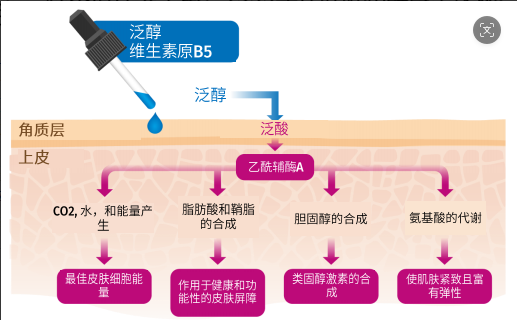 BAIOUMEI Peptide Essence Water contract manufacturing
