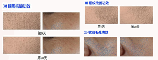 MANSI Sculpting & Wrinkle-Reducing Face Cream contract manufacturing