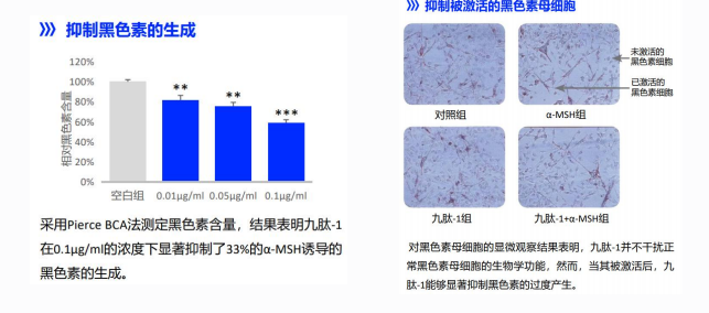 Whitening skin booster serum manufacturer Whitening skin booster serum manufacturer