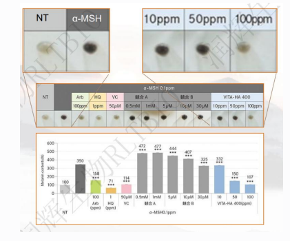Whitening skin booster serum manufacturer Whitening skin booster serum manufacturer