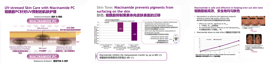 Shea Butter Moisturizes Lines Hand Cream bulk buyer Shea Butter Moisturizes Lines Hand Cream bulk buyer