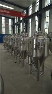 Double Layer fermentation tank