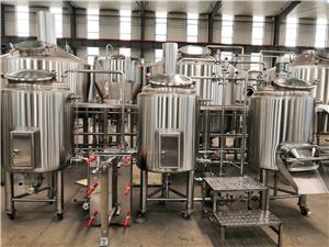 Micro Qualified 200L Ale Equipment PASSED CE AND SGS with strong performance