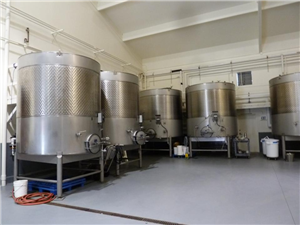 Fruit Wine Fermentation System