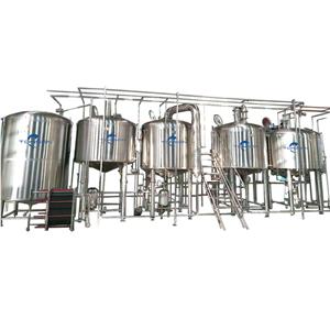 Beer brewing system