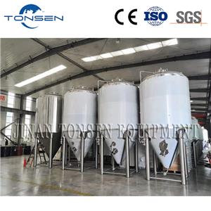 Tonsen Industrial Large Brewery Beer Brewing Equipment Fermentation Tank