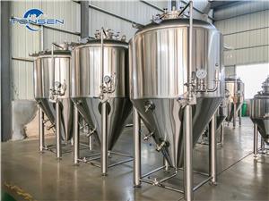 Tonsen 100L 200L 300L 500L 1000L 2000L 3000L 5000L 6000L Beer Brewing Fermenter Brewery Microbrewery Equipment
