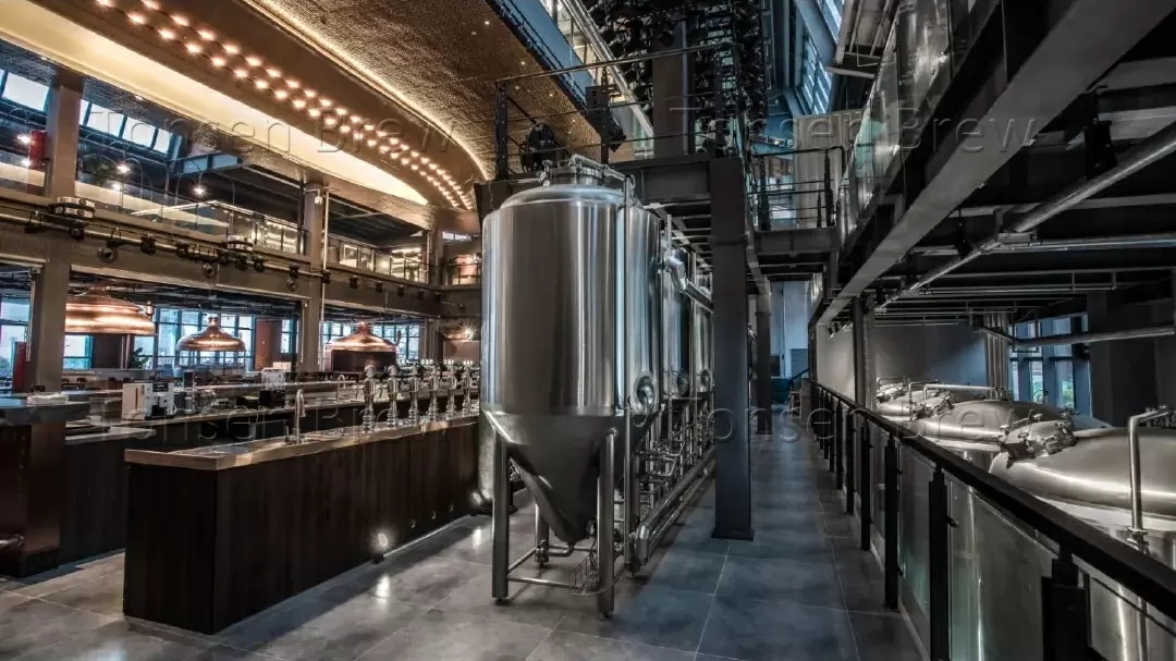 Tsingtao Beer lidera o sabor da cerveja mundial, venha pela brisa do mar e adormeça com a fragrância da cerveja