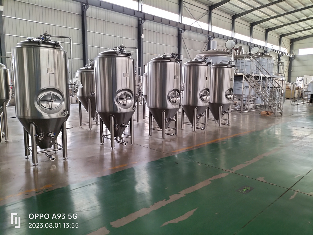 Recimo vam nešto o opremi za pivo---Koji će problemi utjecati na korištenje opreme za pivo?