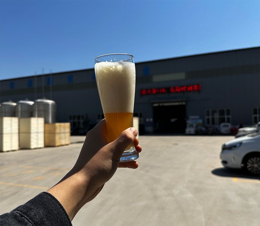 Crafting Excellence: Why Choose Craft Beer Equipment