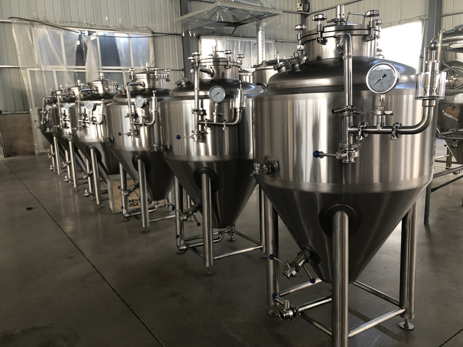 Exploring the Complexity of Beer Fermentation Vessels
