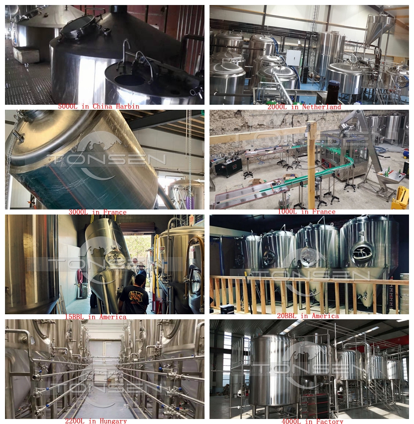 Comment brasser une meilleure bière : sélection de l'équipement, optimisation du processus et plus encore