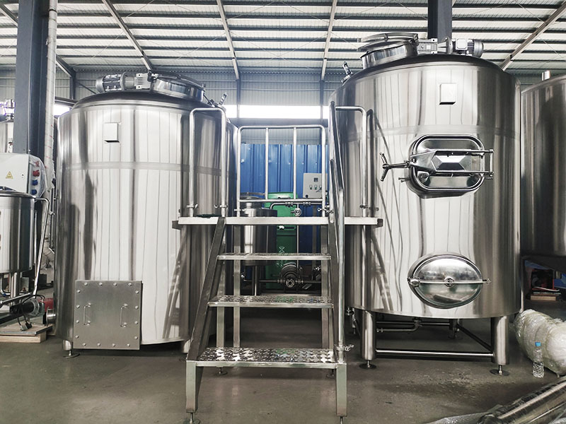 European Clients' Visit: On-site Experience of Our Winemaking Equipment Solutions