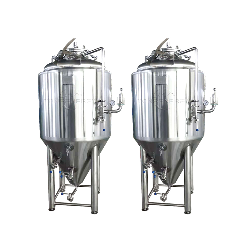 600L Beer Fermentation Tank Wins Rave Reviews for Its Quality | Tonsen - Professional Beer Brewing Equipment Manufacturer