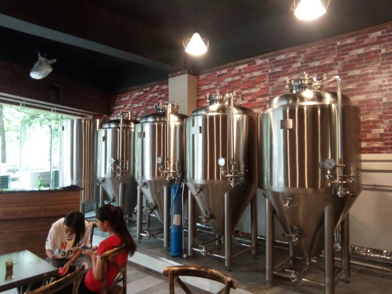 Beer Brewing Equipment Manufacturer