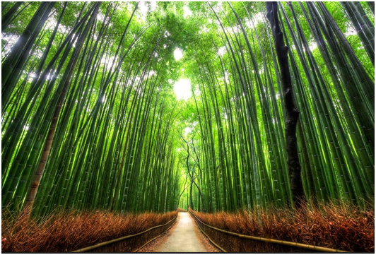 eco-friendly building material