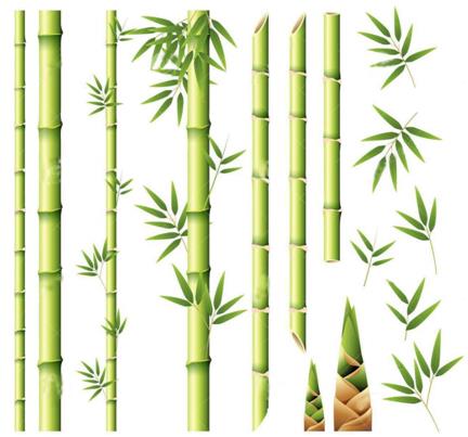 reliable building material bamboo