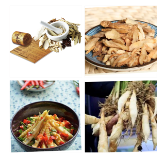 bamboo resources bamboo resources