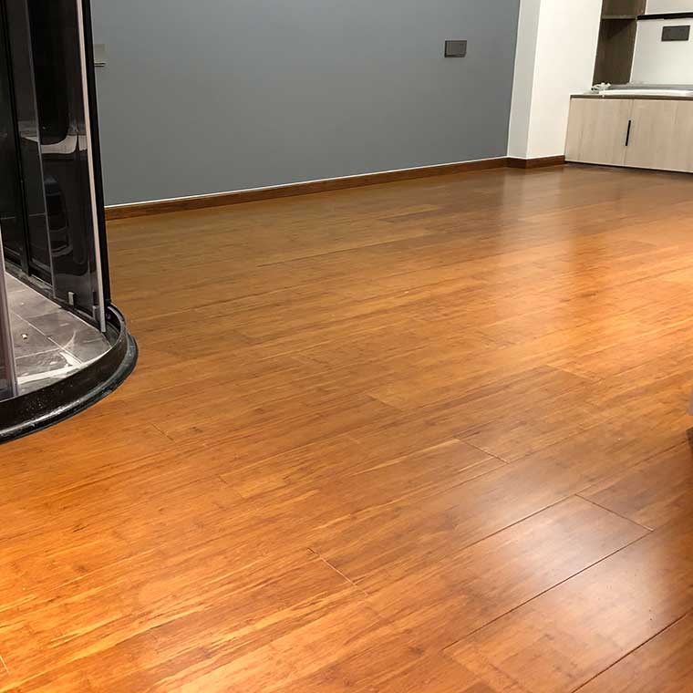 Bamboo Interior Flooring