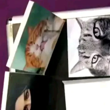 Tabletop Picture Frames for Stunning Tabletop Displays