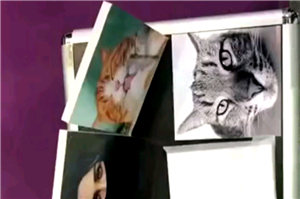 Tabletop Picture Frames for Stunning Tabletop Displays