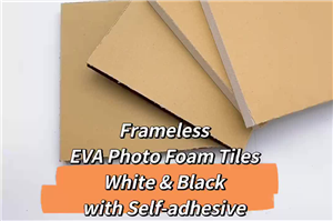 Adhesive Frameless Picture Hangers