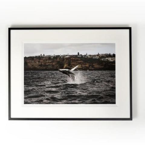 قاب عکس 8x11 اینچی با برچسب مغناطیسی در پشت برای دکوراسیون منزل