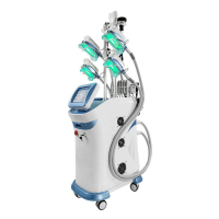 Electronic Muscle Stimulator And 360 Cryolipolysis Machine