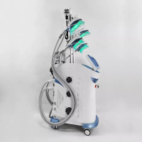 Electronic Muscle Stimulator And 360 Cryolipolysis Machine