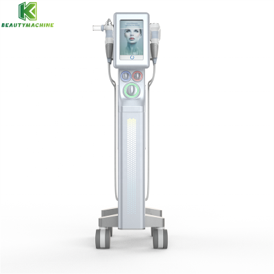 Professional EMS Mesotherapy Hydrodermabrasion Facial Machine