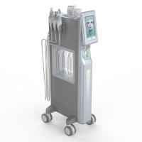 전문 응급의료 서비스 메조테라피 하이드로더마브레이션 페이셜 머신