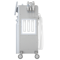 전문 응급의료 서비스 메조테라피 하이드로더마브레이션 페이셜 머신