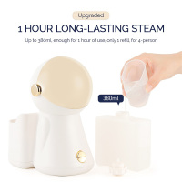Professional Nano Ionic Facial Steamer And Humidifier