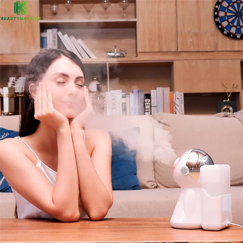 Vaporizador facial nano iônico profissional e umidificador