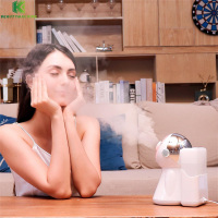 Professional Nano Ionic Facial Steamer And Humidifier