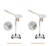 Beauty Hot And Cold Nano Ionic Face Facial Steamer