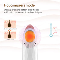Portable Face Pore Vacuum Black Head Remover Machine