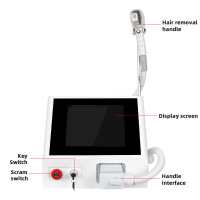 Laser Pico Tattoo And Body Hair Epilation Removal Machine