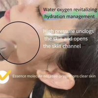 High Pressure Jet Peel Oxygen Water Mesotherapy Facial Machine
