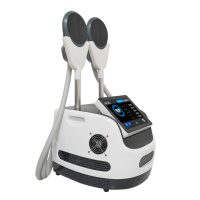 Tesla Emslim Neo Mini Body Scupting RF EMS Machine