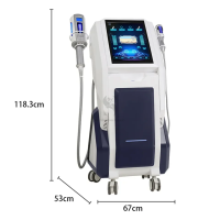 8d Professional Skin Rejuvenation Machine professional body shaping Contouring roller
