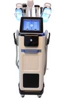 2 in 1 Cryotherapy EMSlim Body Contouring Machine
