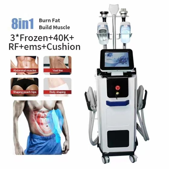 Can 2-in-1 Cryolipolysis and Electromagnetic Shaping Devices Really Effect on Fat Loss?