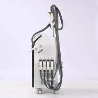 Вакуумный роликовый массаж целлюлит эндермология сжиженный газ машина