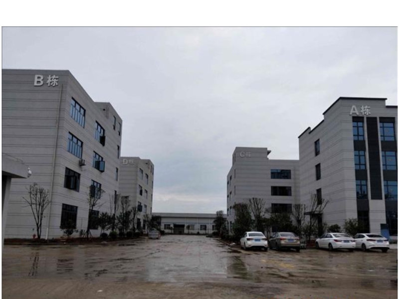 شركة ييوو بييز للاستيراد والتصدير المحدودة