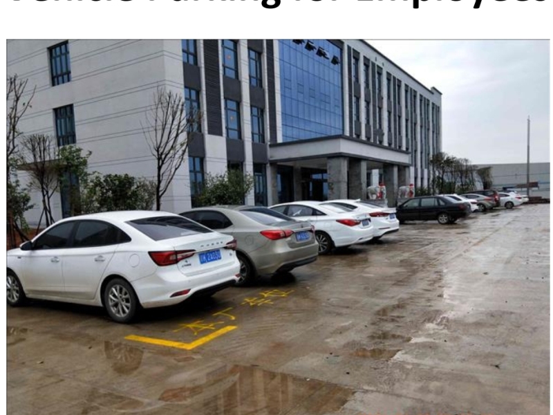 شركة ييوو بييز للاستيراد والتصدير المحدودة